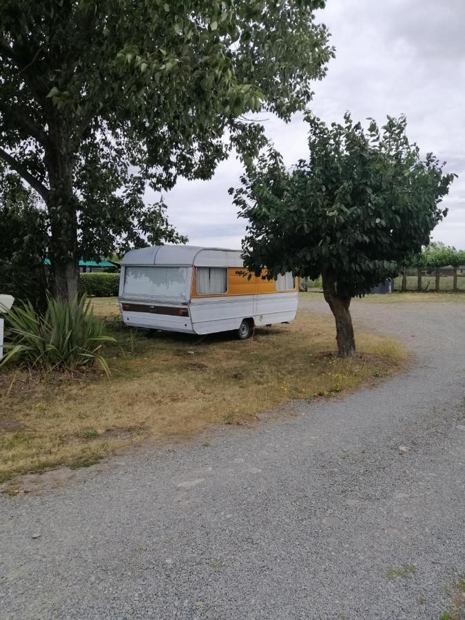 Rangiora Eco Holiday Park Fernside ภายนอก รูปภาพ